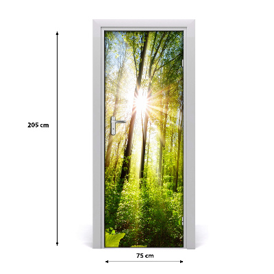 Fototapeta na dveře samolepící slunce v lese