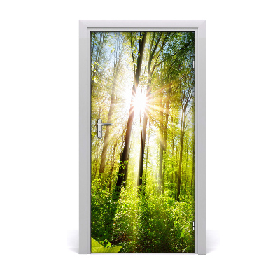 Fototapeta na dveře samolepící slunce v lese