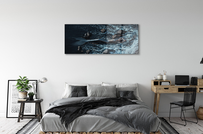 akrylový obraz mořská siréna
