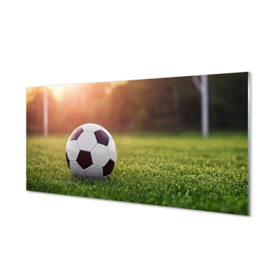 akrylový obraz Fotbal tráva gateway