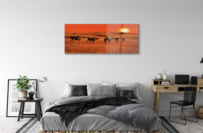 akrylový obraz Velbloudi lidí pouštní slunce nebe