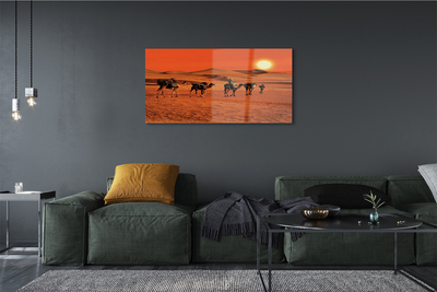 akrylový obraz Velbloudi lidí pouštní slunce nebe