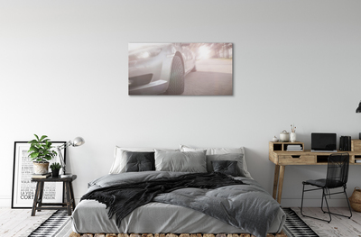 Obrazy na plátně Stříbrné auto street tree