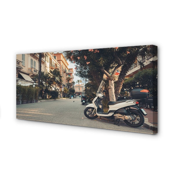 Obrazy na plátně městské Motocykly palmového léta
