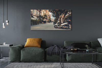 Obrazy na plátně městské Motocykly palmového léta