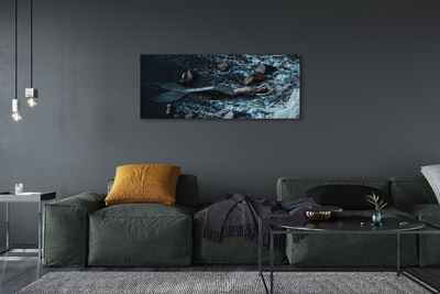 Obrazy na plátně mořská siréna