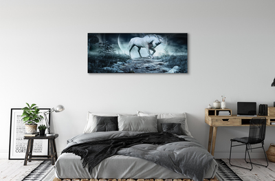 Obrazy na plátně Forest Unicorn moon