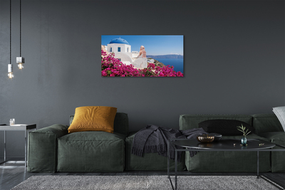 Obrazy na plátně Řecko květiny mořské stavby