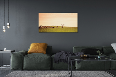 Obrazy na plátně Stádo jelenů pole svítání