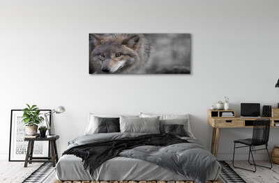 Obrazy na plátně Vlk