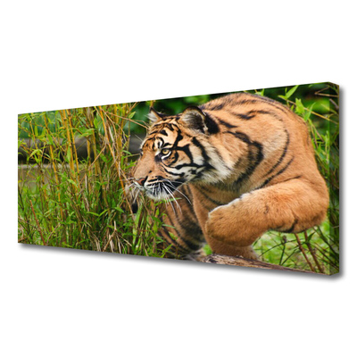 Obraz na plátně Tygr Zvířata