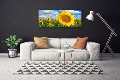 Obraz na plátně Slunečnice Květ Rostlina