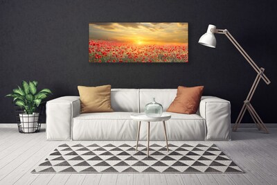 Obraz na plátně Slunce Louka Mák Květiny