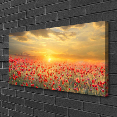 Obraz na plátně Slunce Louka Mák Květiny