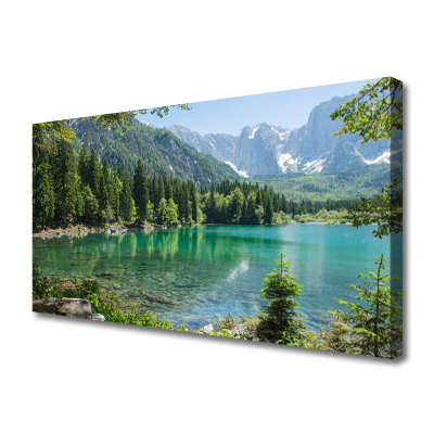 Obraz na plátně Hory Jezero Les Příroda
