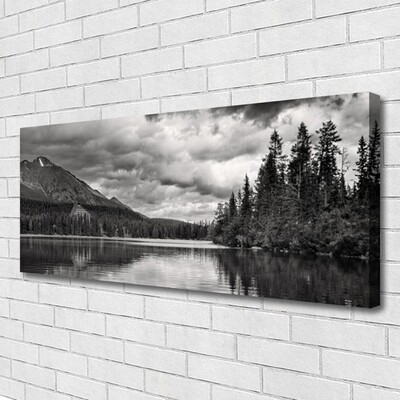 Obraz na plátně Hora Les Jezero Příroda
