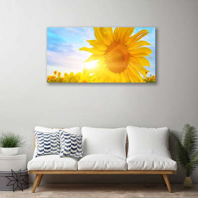 Obraz na plátně Slunečnice Květ Slunce