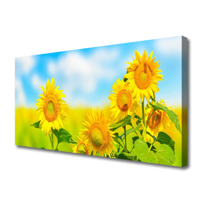 Obraz na plátně Slunečnice Květiny Příroda