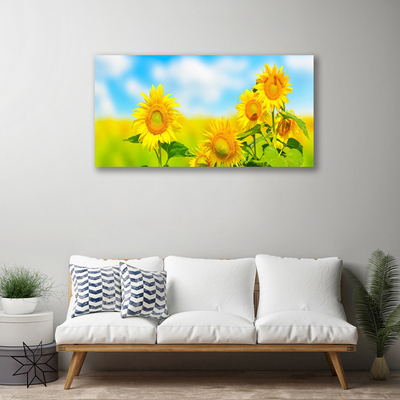 Obraz na plátně Slunečnice Květiny Příroda