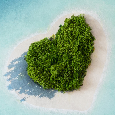 Mech obraz Ostrov ve tvaru srdce