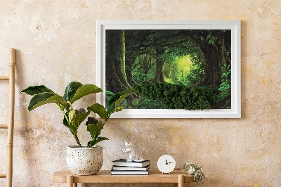 Mech obraz Tropická džungle