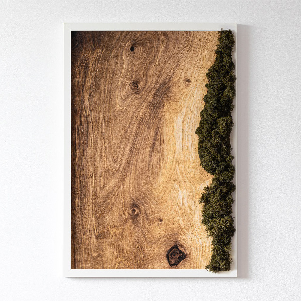 Stabilizovaný mech obraz Přírodní dub