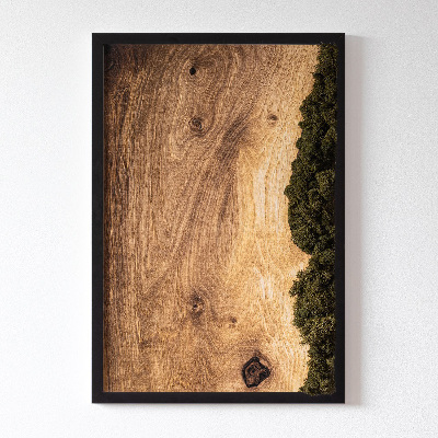 Stabilizovaný mech obraz Přírodní dub