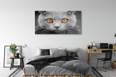 Obraz na skle Šedá Britská kočka