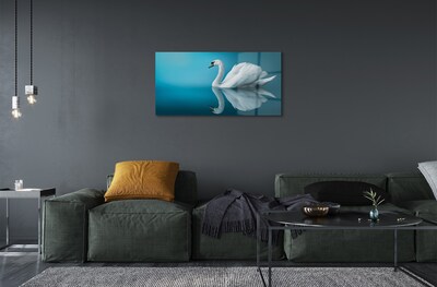 Obraz na skle Swan ve vodě
