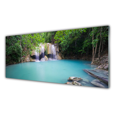 Obraz na skle Vodopád Les Jezero Příroda