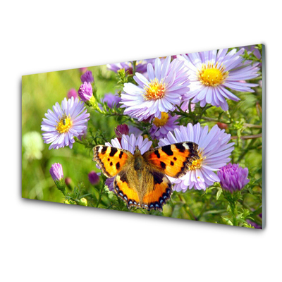 Obraz na skle Květiny Motýl Příroda