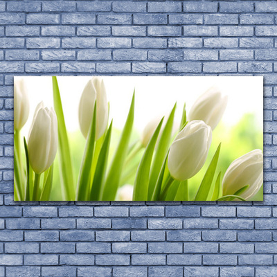 Obraz na skle Tulipány Květiny