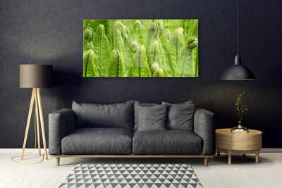 Obraz na skle Rostlina Příroda