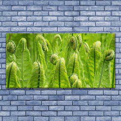 Obraz na skle Rostlina Příroda
