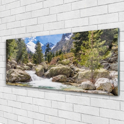 Obraz na skle Hora Les Kameny Řeka