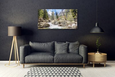 Obraz na skle Hora Les Kameny Řeka