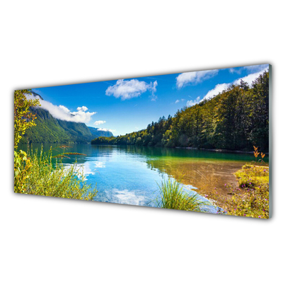 Obraz na skle Hory Les Příroda Jezero