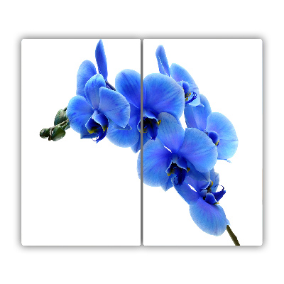 Skleněné deska do kuchyně Modrá orchidej