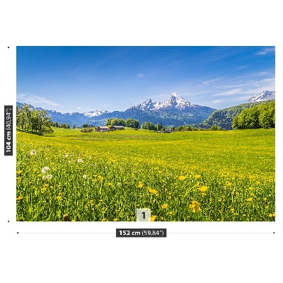 Fototapeta Alpské louky