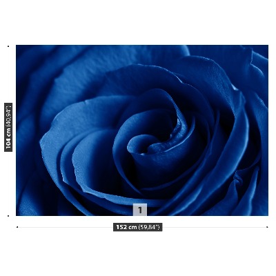 Fototapeta Modrá růže