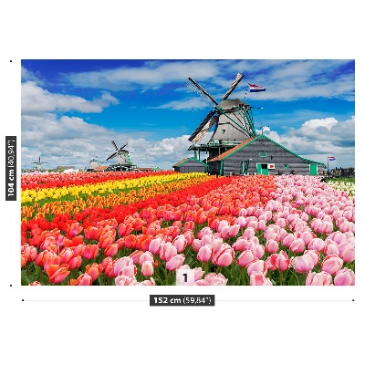 Fototapeta Větrné mlýny v Nizozemsku