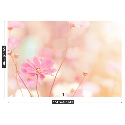 Fototapeta Růžové květy kosmu