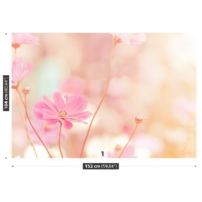 Fototapeta Růžové květy kosmu