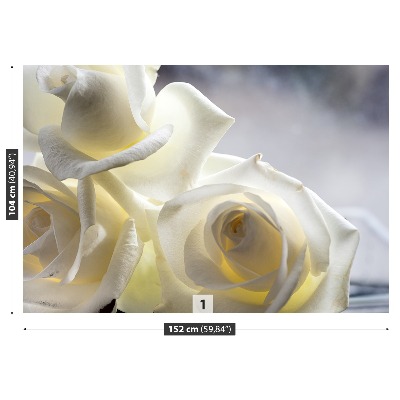 Fototapeta Bílé růže