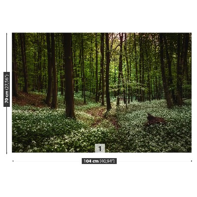 Fototapeta Jarní les