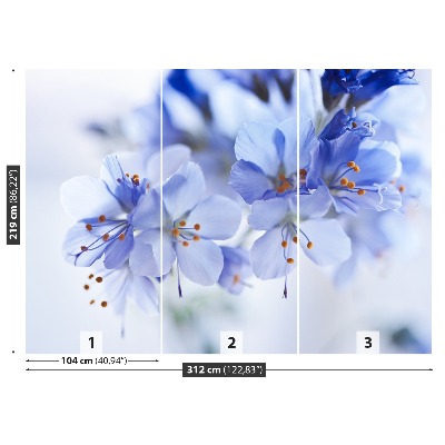 Fototapeta Modré květy