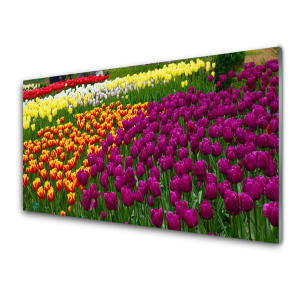 akrylový obraz Tulipány Květiny