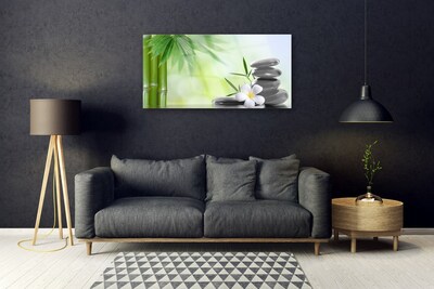 akrylový obraz Bambus Stonek Květ Rostlina